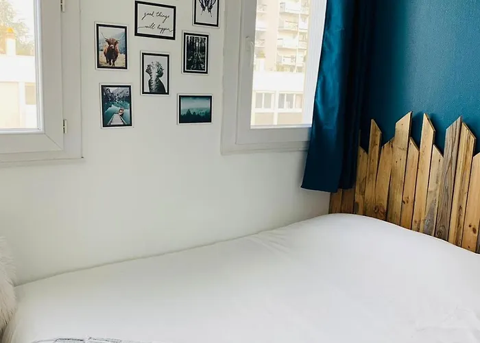 Magnifique T3 Proche Puy Du Fou 绍莱