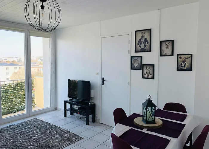 公寓 Magnifique T3 Proche Puy Du Fou *