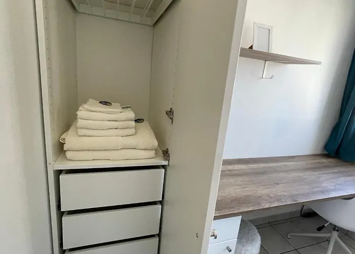 公寓 Magnifique T3 Proche Puy Du Fou