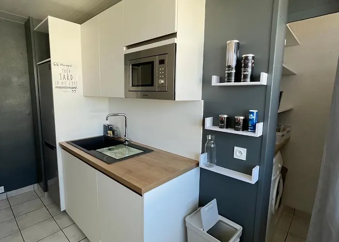 Magnifique T3 Proche Puy Du Fou 公寓 绍莱