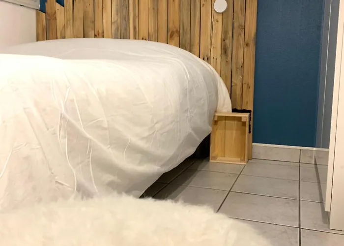 公寓 Magnifique T3 Proche Puy Du Fou 绍莱