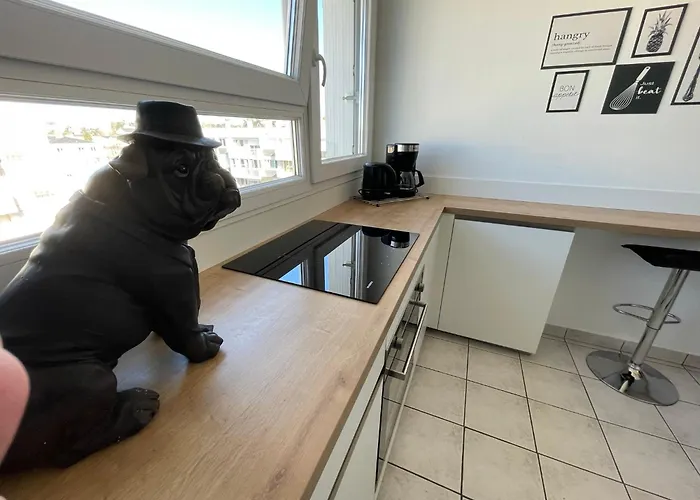 公寓 Magnifique T3 Proche Puy Du Fou